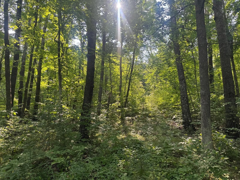 TBD Howard Lake Rd NW, Akeley, MN 56433