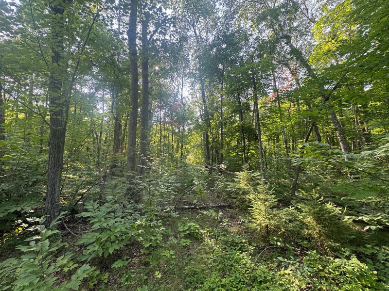 TBD Howard Lake Rd NW, Akeley, MN 56433