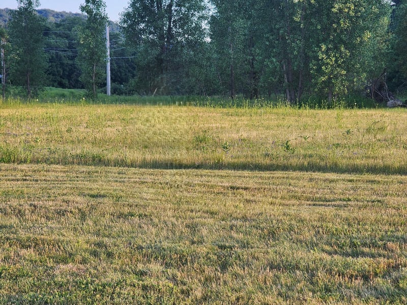205 Inverness Dr, Lake City, MN 55041