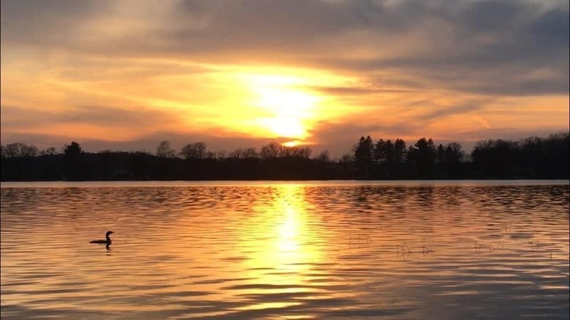 51097 E Wymer Lake Rd, Frazee, MN 56544