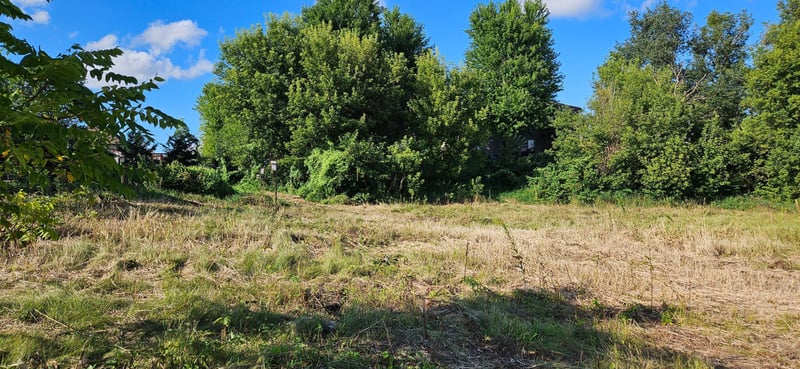 255x NW Heartland Dr, Rochester, MN 55901
