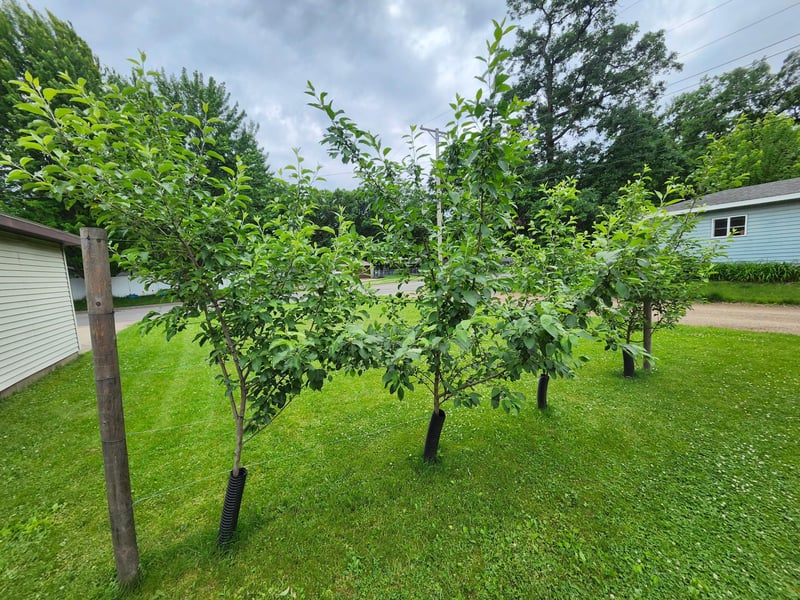 712 4th St SW, Little Falls, MN 56345