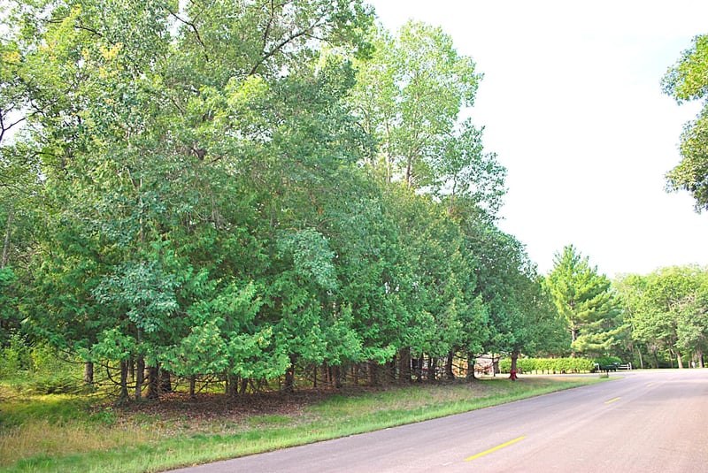 TBD Marohn Rd, Baxter, MN 56425