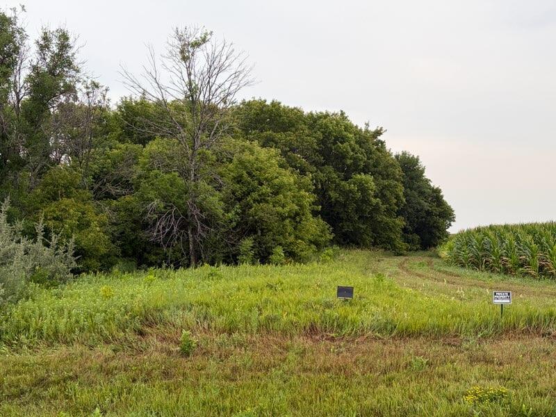 11558 160th Ave S, Barnesville, MN 56514