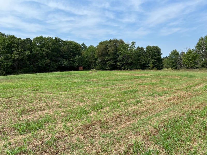 TBD Elmcrest Ave, Stacy, MN 55079
