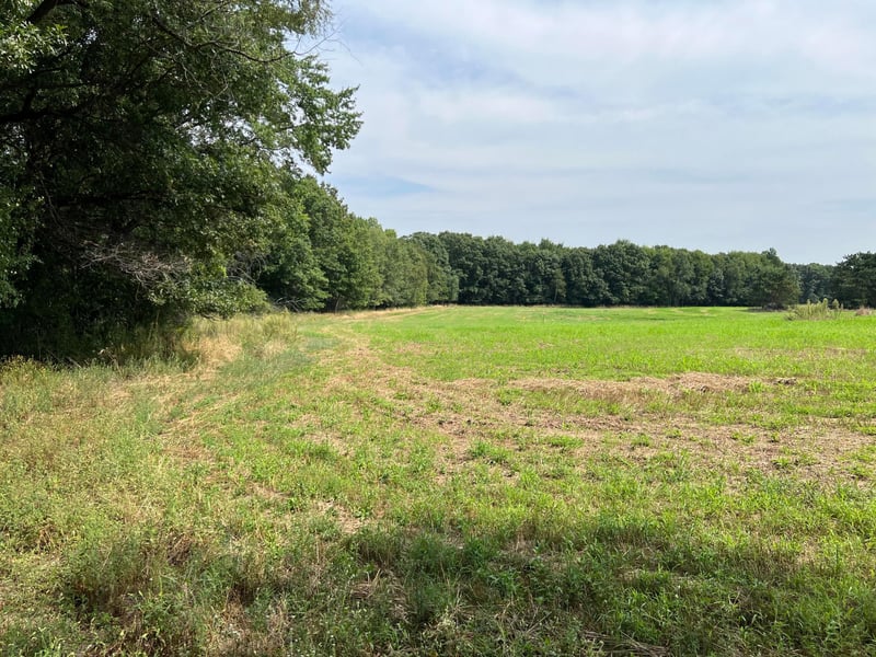 XXXX Elmcrest Ave, Stacy, MN 55079