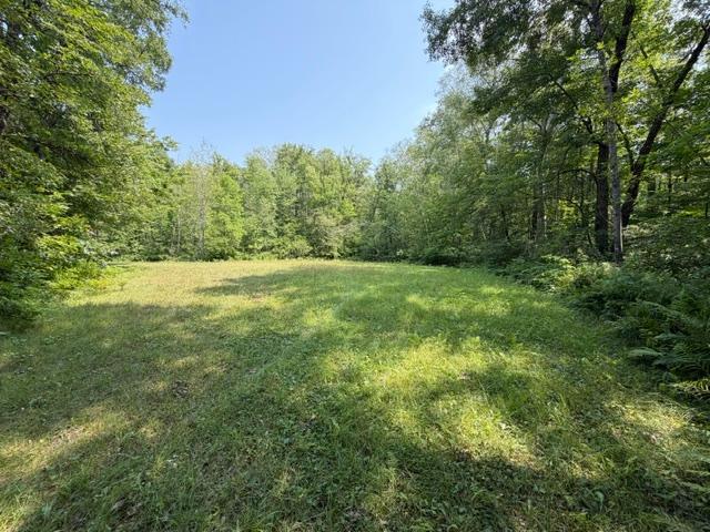 TBD State Hwy 65, Mcgregor, MN 55760