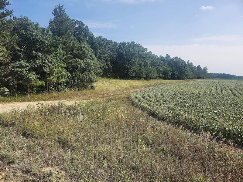 TBD 400th St, Browerville, MN 56438