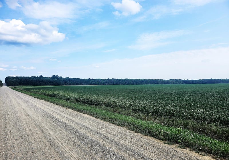 TBD 400th St, Browerville, MN 56438
