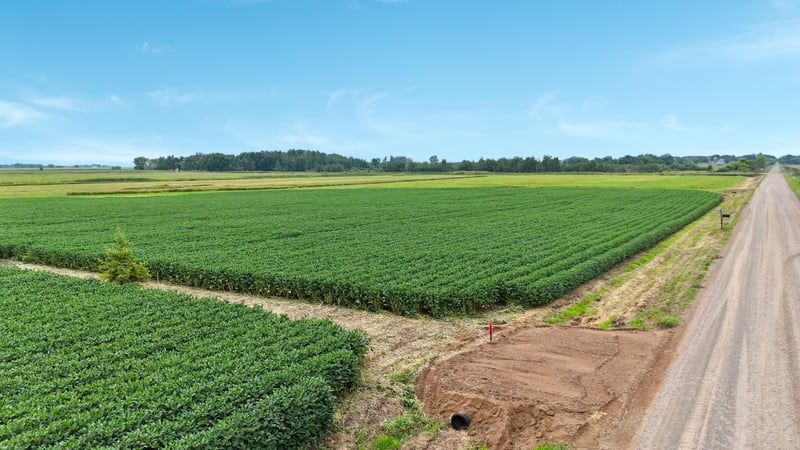 TBD 115th St NE, Foley, MN 56329