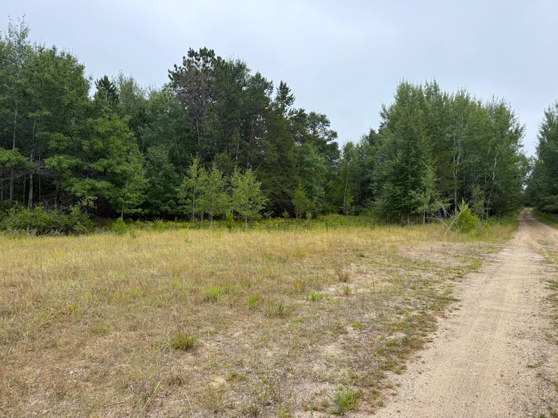 10082 Legionville Rd, Brainerd, MN 56401