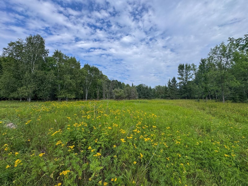 12685 Sharp Rock Rd NE, Tenstrike, MN 56683