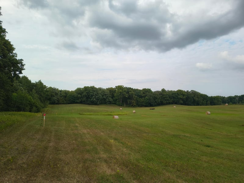 3401 Buckskin Rd NE, Carlos, MN 56319