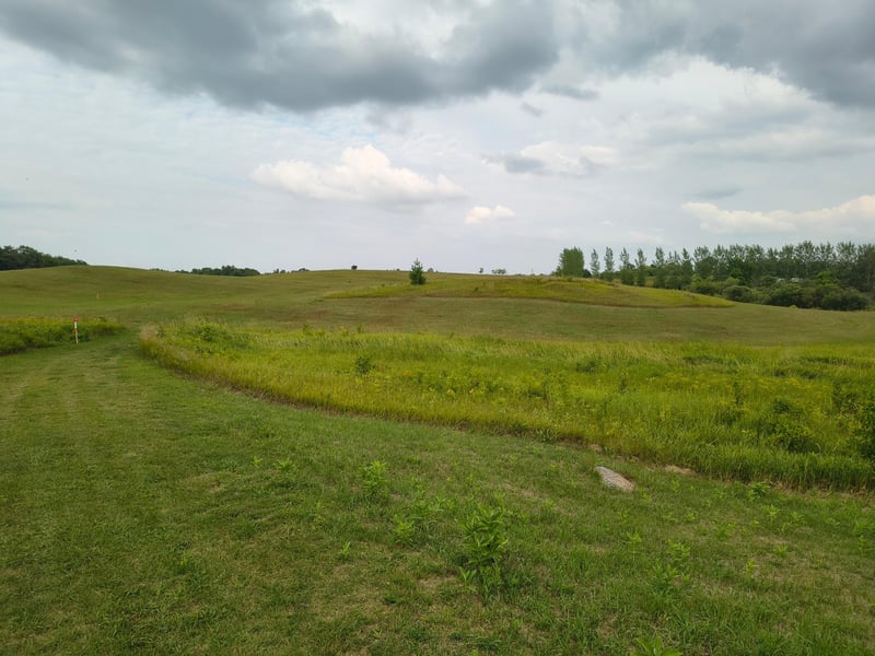 TBD Buckskin Rd NE, Carlos, MN 56319