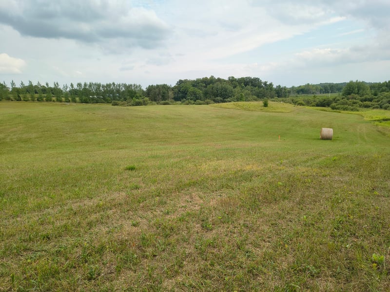 TBD Buckskin Rd NE, Carlos, MN 56319