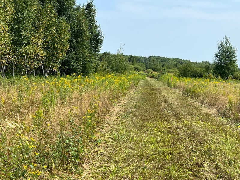 00000 State Hwy 48, Hinckley, MN 55037
