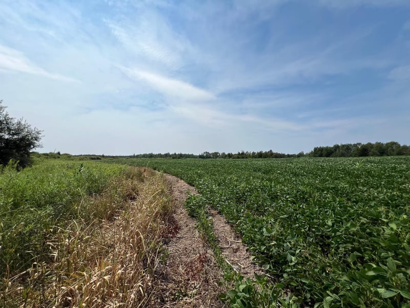 00000 State Hwy 48, Hinckley, MN 55037