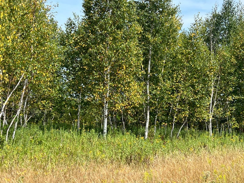00000 State Hwy 48, Hinckley, MN 55037