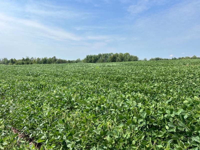 00000 State Hwy 48, Hinckley, MN 55037