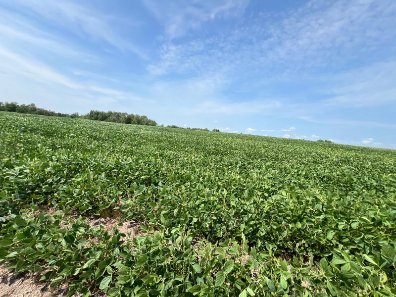 00 State Hwy 48, Hinckley, MN 55037