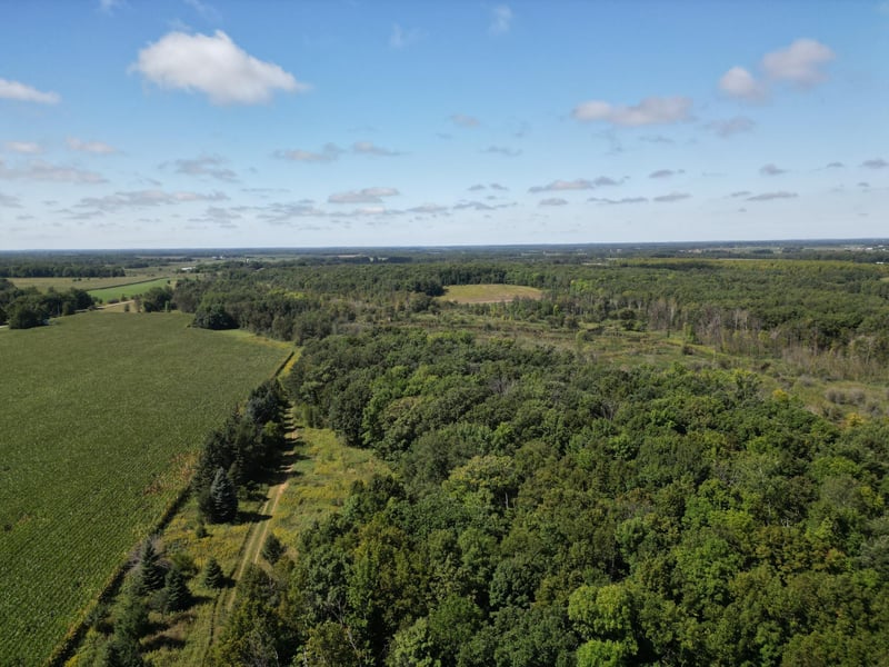 TBD Wadena Line Rd, Wadena, MN 56482