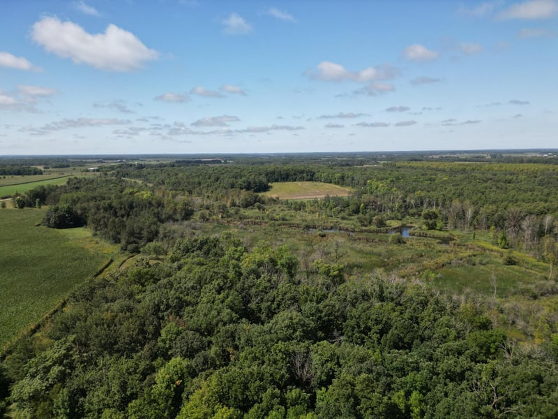 TBD Wadena Line Rd, Wadena, MN 56482