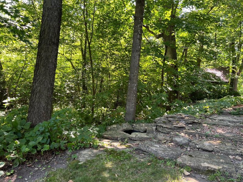 6385 134th St E, Northfield, MN 55057