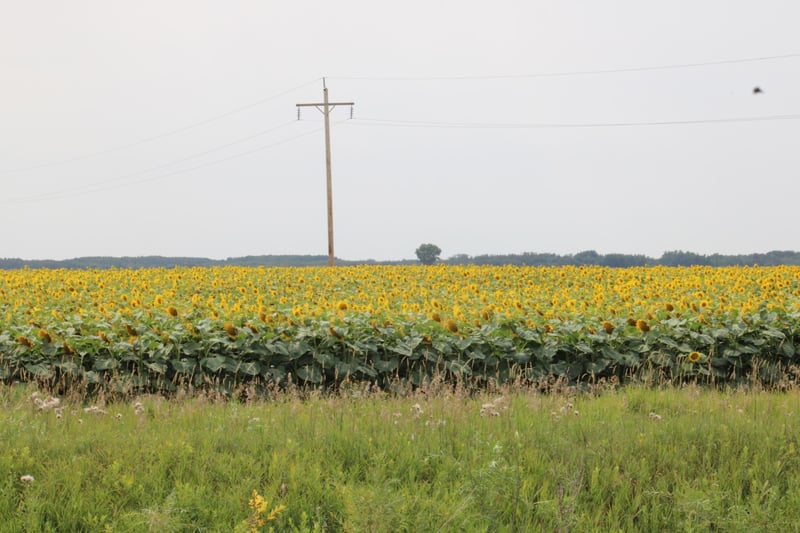 000 State Hwy 219, Goodridge, MN 56725