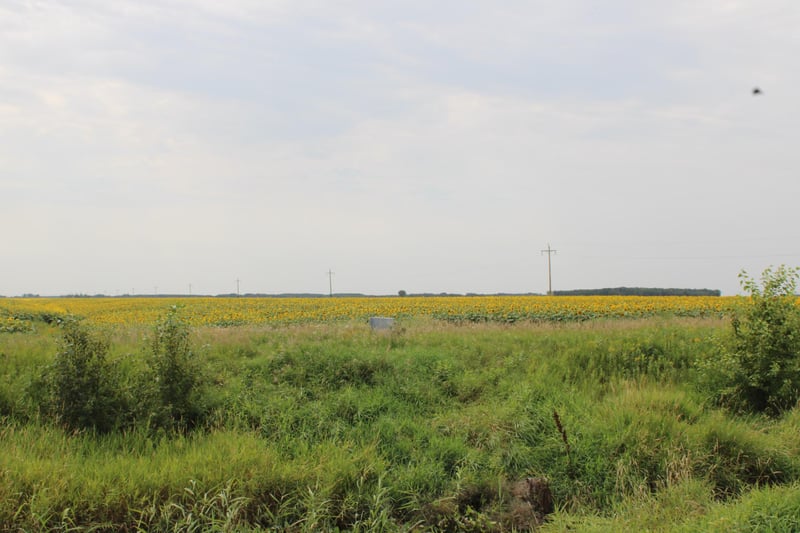 000 State Hwy 219, Goodridge, MN 56725