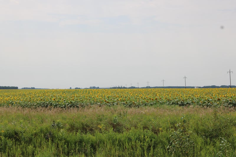 000 State Hwy 219, Goodridge, MN 56725