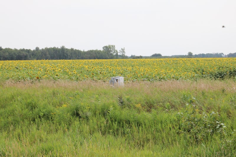 000 State Hwy 219, Goodridge, MN 56725