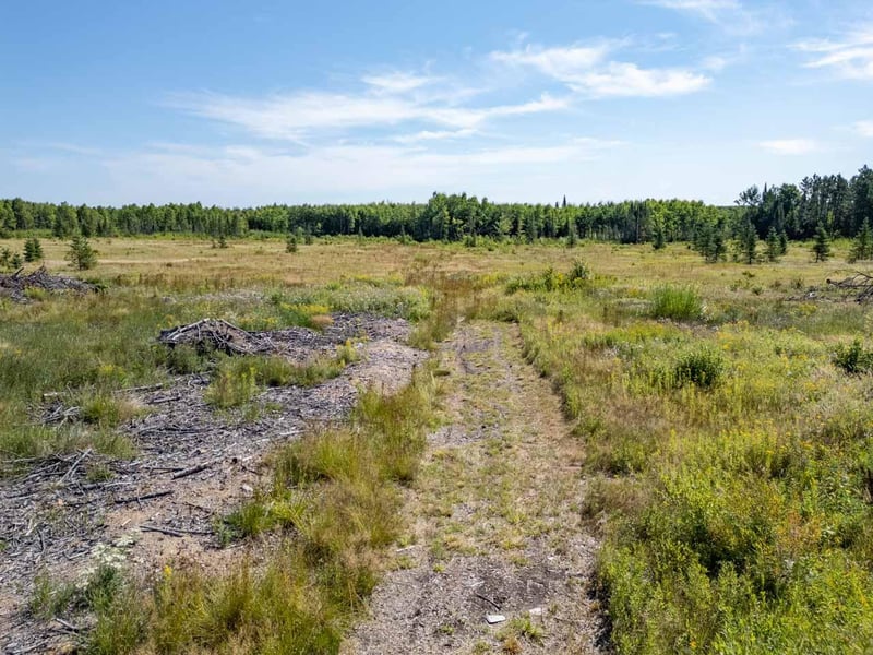 TBD Hwy 5, Hibbing, MN 55746