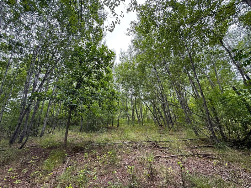 10046 Legionville Rd, Brainerd, MN 56401