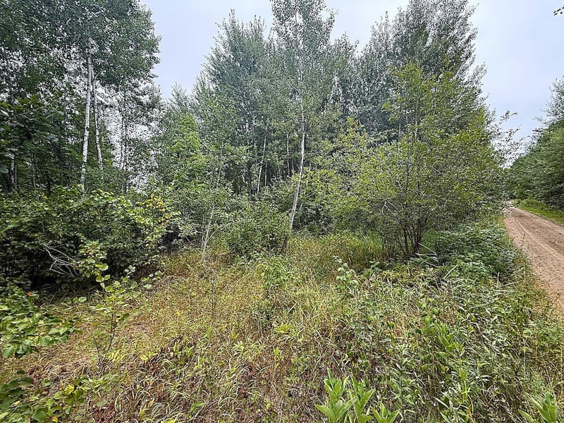 10046 Legionville Rd, Brainerd, MN 56401