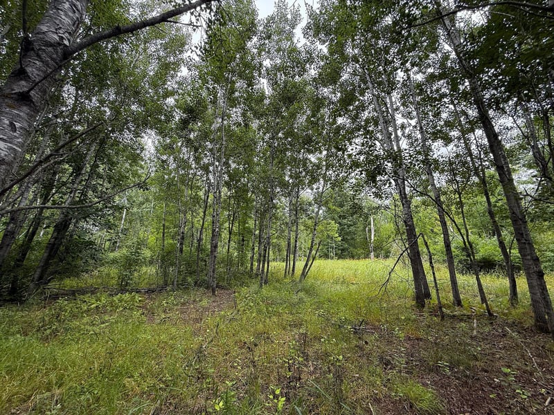 10046 Legionville Rd, Brainerd, MN 56401