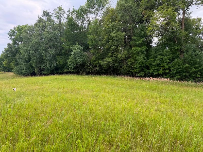 TBD 405th Ave NW, Braham, MN 55006