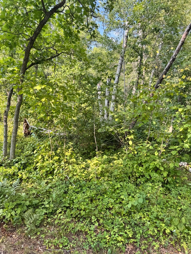 29890 Ranchette Dr, Pequot Lakes, MN 56472