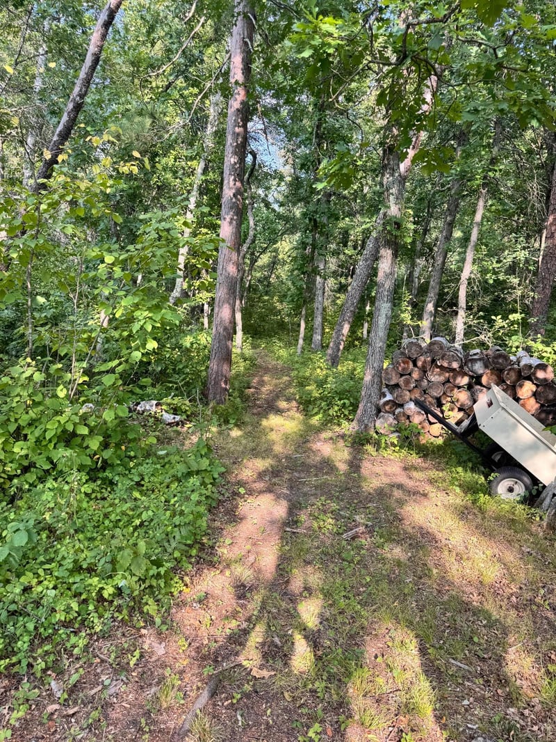 29890 Ranchette Dr, Pequot Lakes, MN 56472