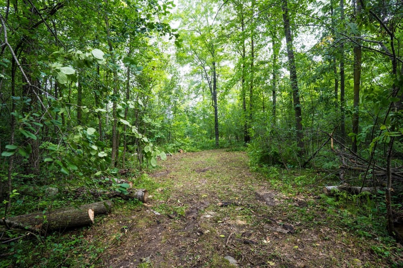 7xxx 200th St, Milaca, MN 56353