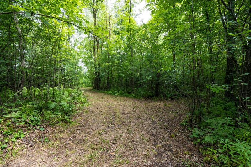 7xxx 200th St, Milaca, MN 56353