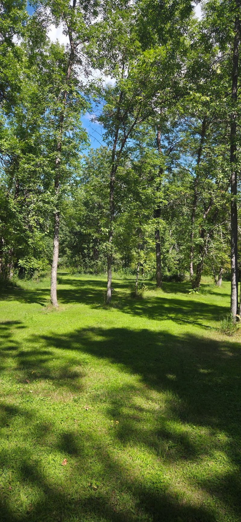 305 5th Ave W, Federal Dam, MN 56641