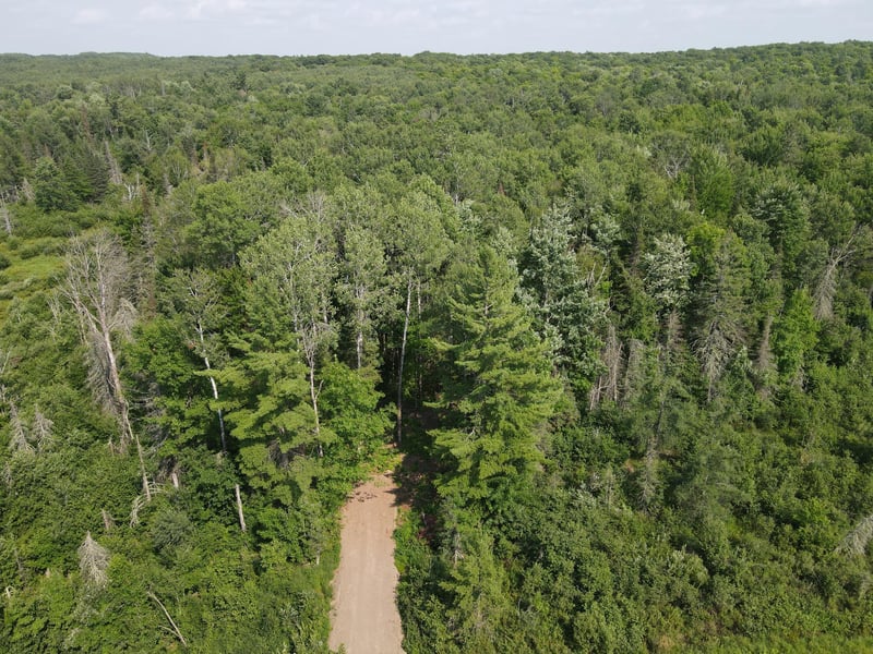LOT 2 Smith Rd, Couderay, WI 54828