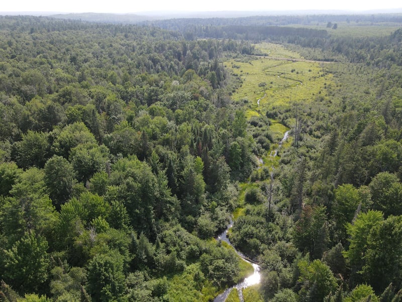 LOT 2 Smith Rd, Couderay, WI 54828