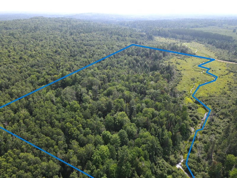 LOT 2 Smith Rd, Couderay, WI 54828