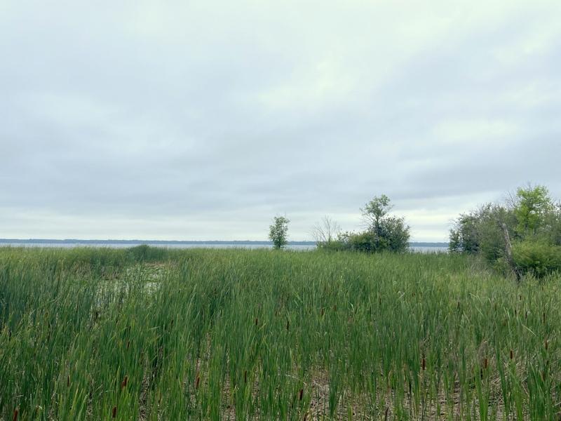 24627 County Road 3, Merrifield, MN 56465
