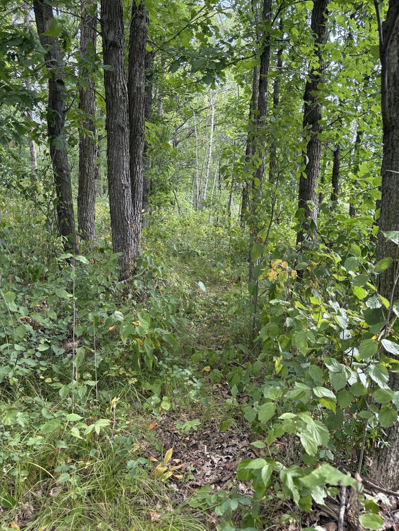 XXX Meadowview Rd, Brainerd, MN 56401