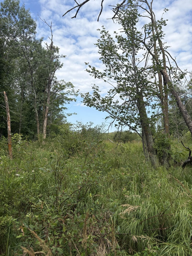 XXX Meadowview Rd, Brainerd, MN 56401