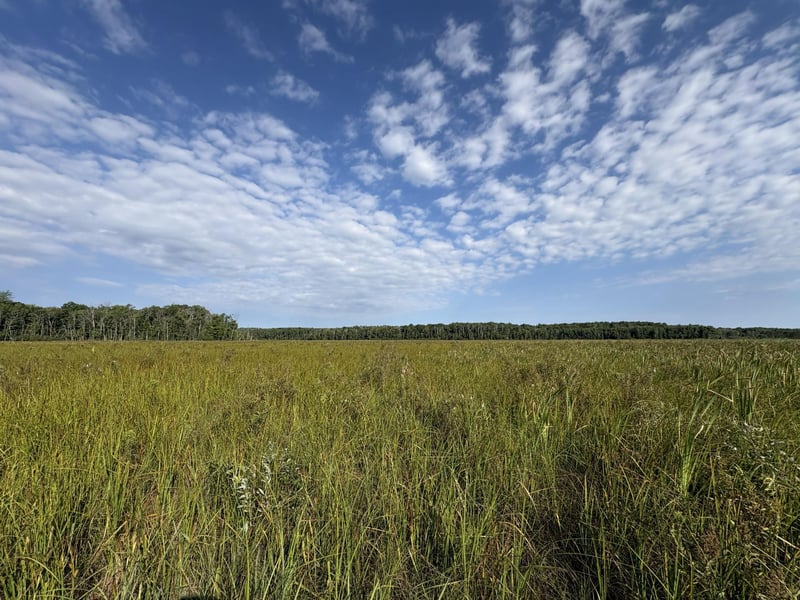 XXX Meadowview Rd, Brainerd, MN 56401