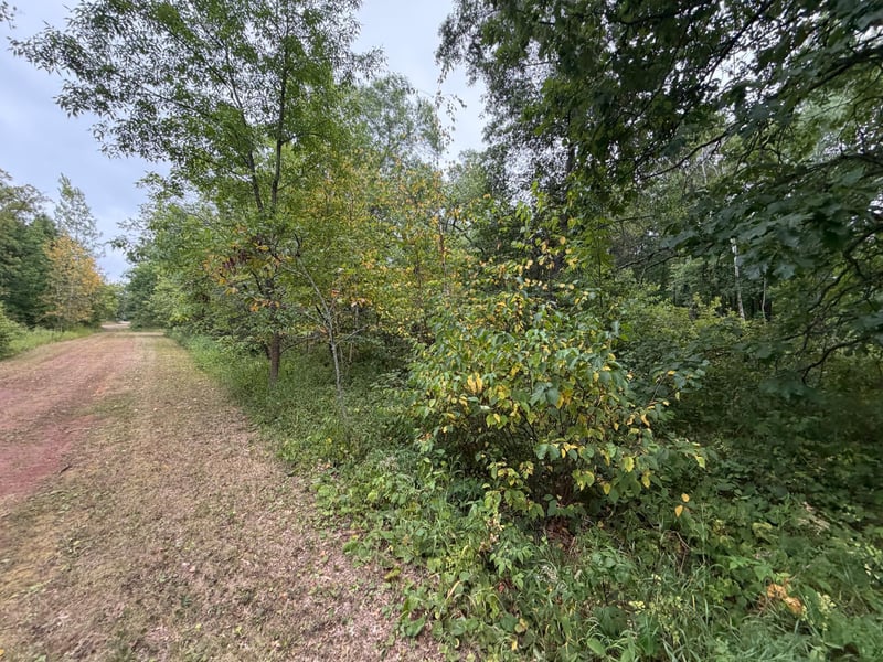 Lot 2 Whitetail, Crosby, MN 56441