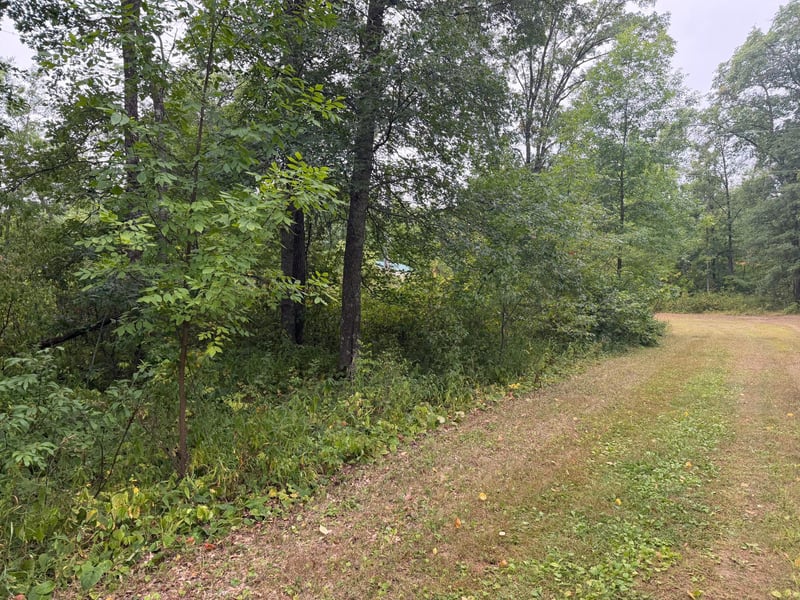 Lot 2 Whitetail, Crosby, MN 56441